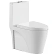 Vaso Sanitário Monobloco Kit Privada com Assento Completo Branco (GVs55MbSfA-Br)