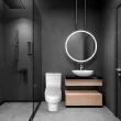 Vaso Sanitário Monobloco Kit Privada com Assento Completo Branco (GVS55MBSFC-BR)